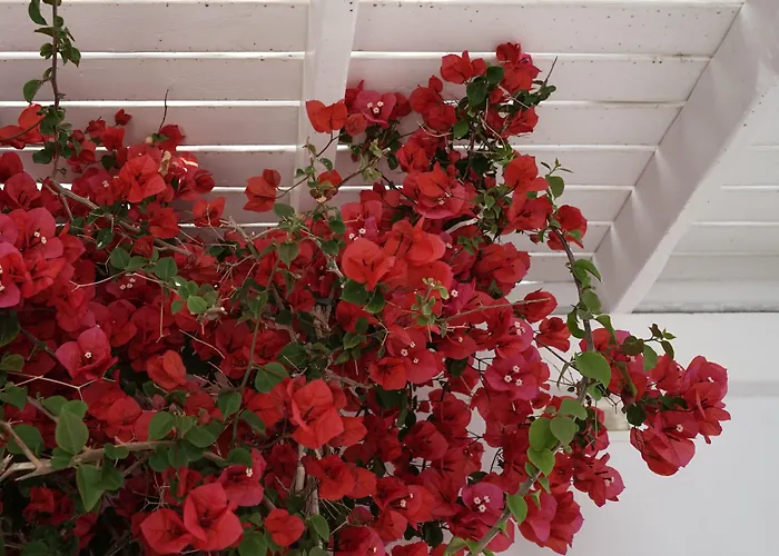 Отель Rocabella Mykonos