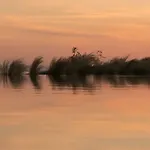 Rocabella Mykonos 5*